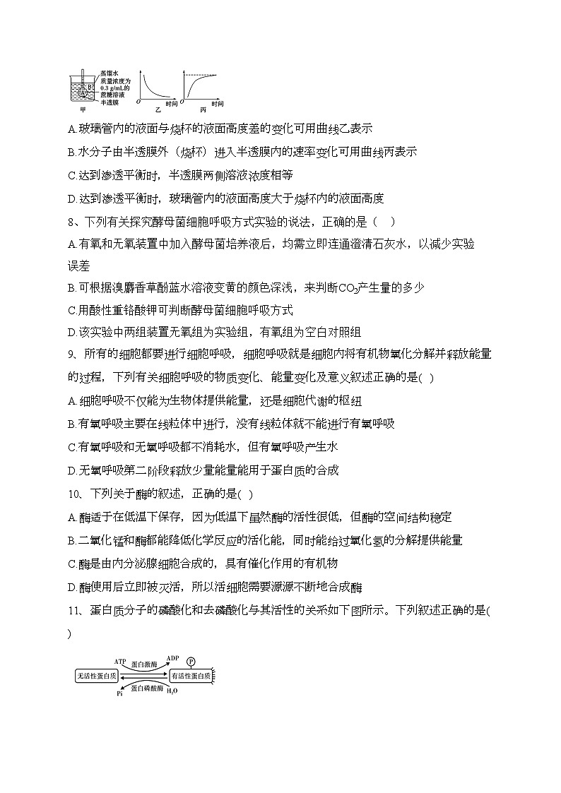 天津市静海区第一中学2023-2024学年高一上学期12月学生学业能力调研生物试卷(含答案)03