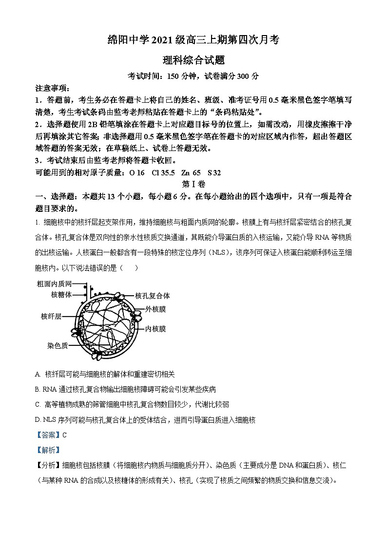 四川省绵阳中学2023-2024学年高三上学期第四次月考理综生物试题（Word版附解析）01