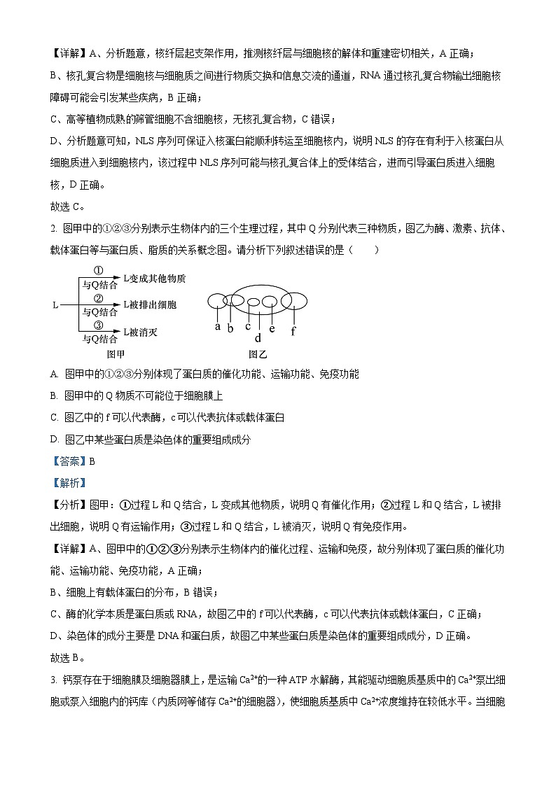 四川省绵阳中学2023-2024学年高三上学期第四次月考理综生物试题（Word版附解析）02
