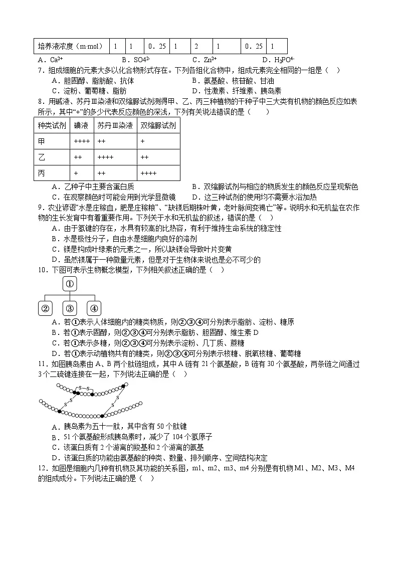 人教版高一生物第一学期期末考试测试卷（含答案）第2页