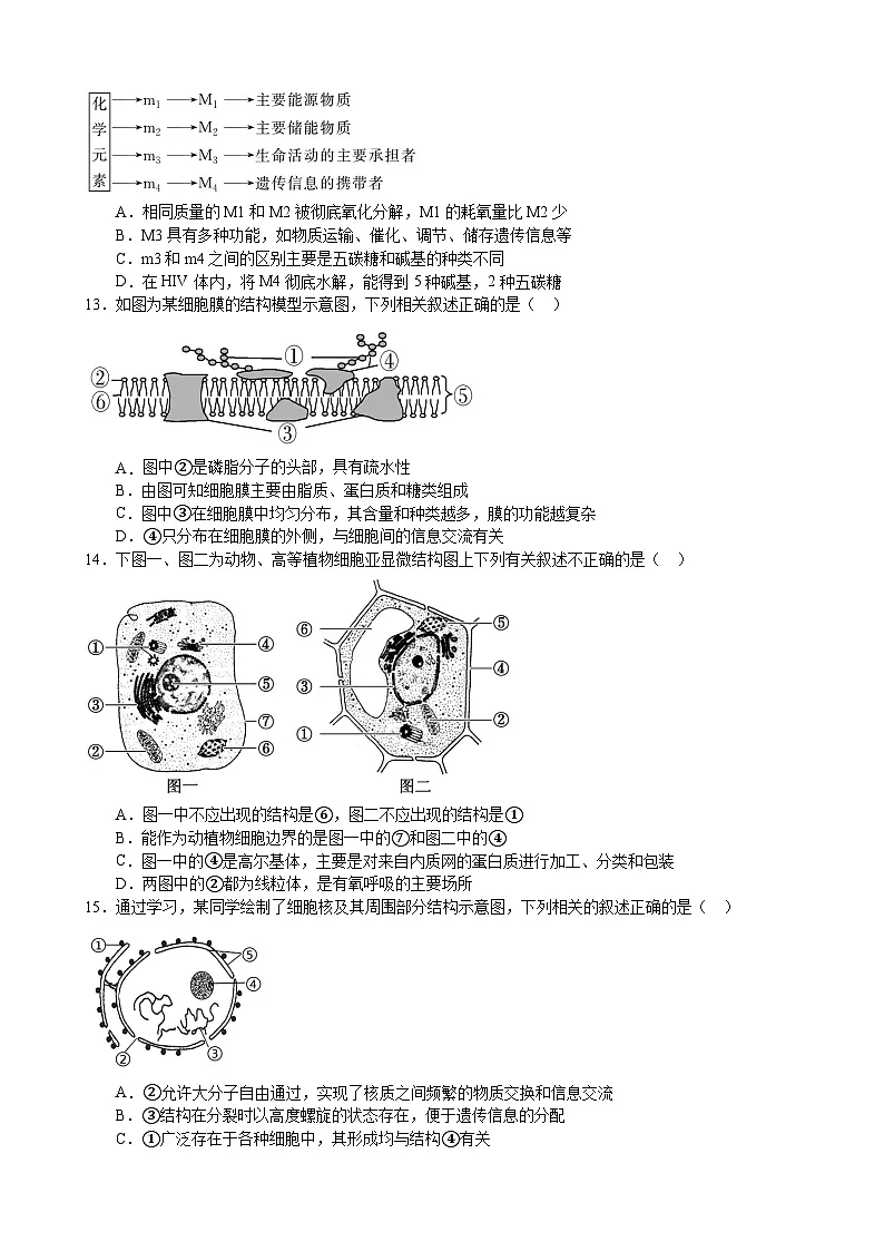 人教版高一生物第一学期期末考试测试卷（含答案）第3页