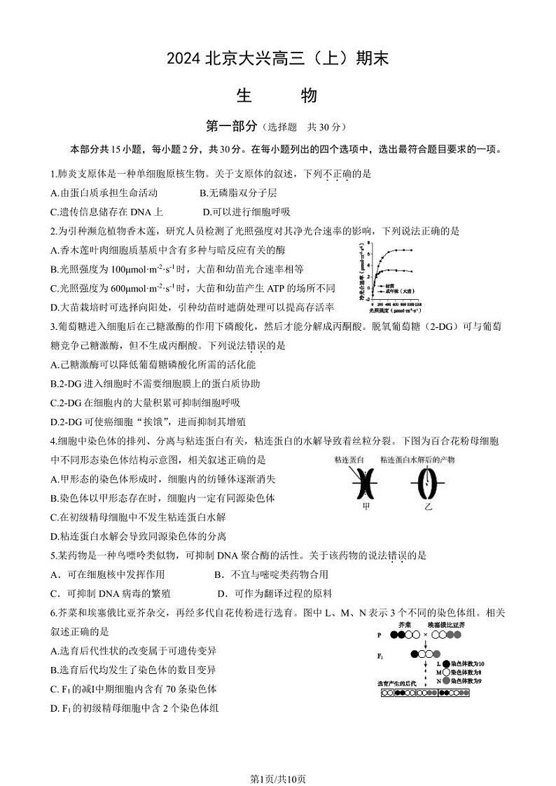 2023-2024学年北京大兴区高三期末生物试题及答案01