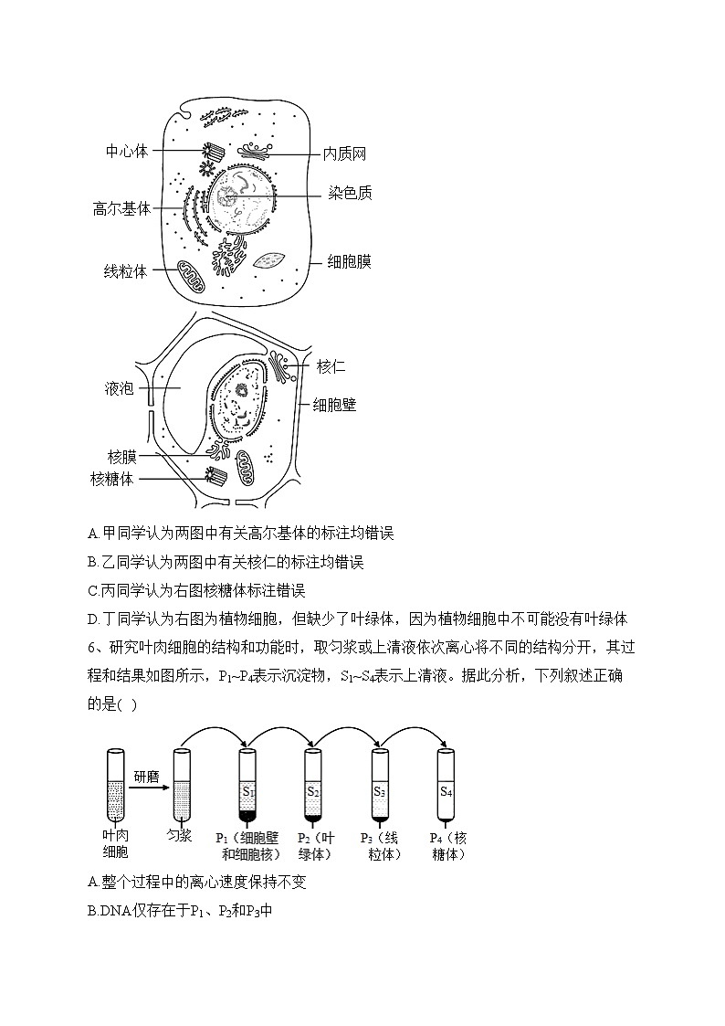 河南省驻马店市2023-2024学年高一上学期12月阶段考试（三）生物试卷(含答案)02