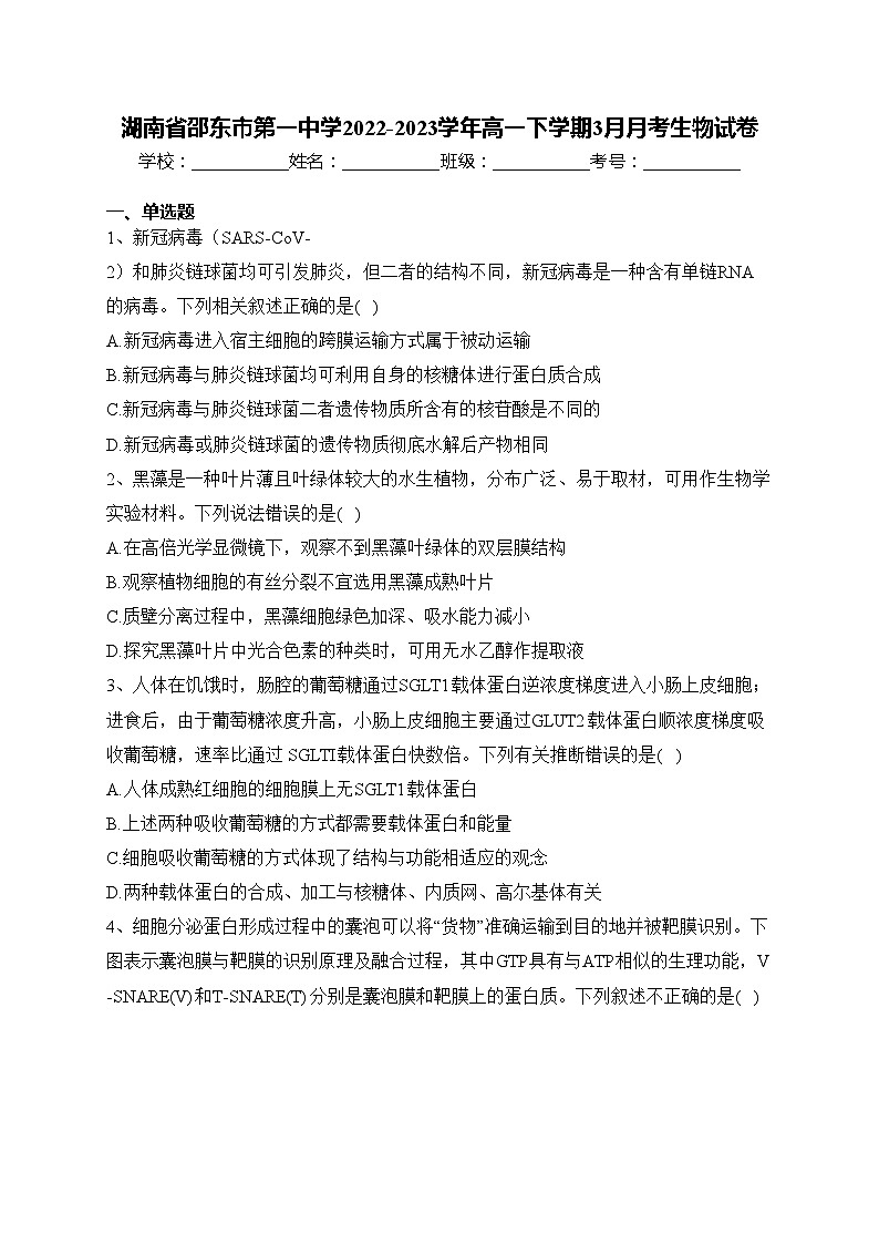 湖南省邵东市第一中学2022-2023学年高一下学期3月月考生物试卷(含答案)第1页