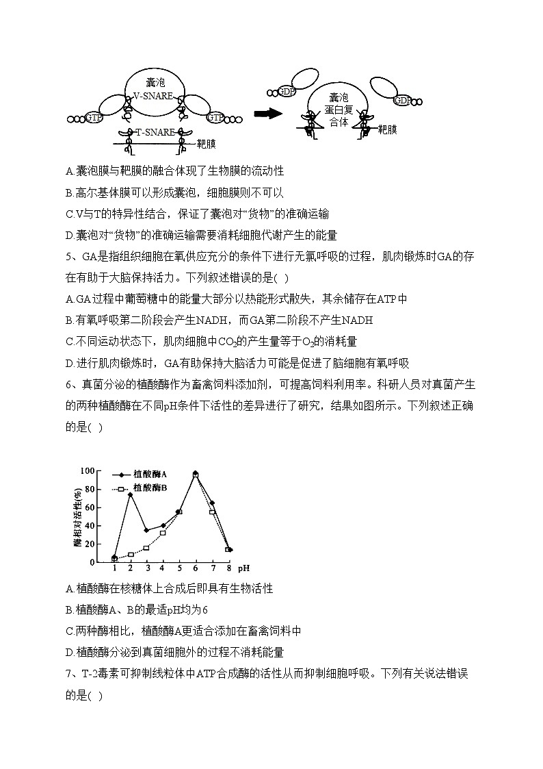 湖南省邵东市第一中学2022-2023学年高一下学期3月月考生物试卷(含答案)第2页