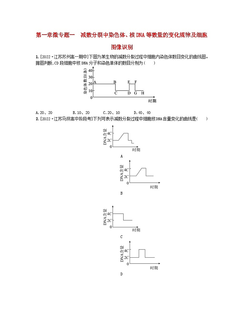 江苏专版2023_2024学年新教材高中生物第一章遗传的细胞基础微专题一减数分裂中染色体核DNA等数量的变化规律及细胞图像识别分层作业苏教版必修2第1页