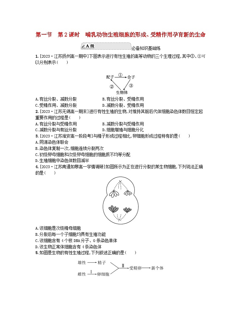江苏专版2023_2024学年新教材高中生物第一章遗传的细胞基础第一节减数分裂和受精作用第二课时哺乳动物生殖细胞的形成受精作用孕育新的生命分层作业苏教版必修201