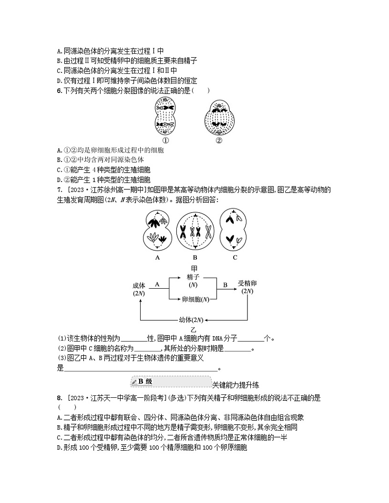 江苏专版2023_2024学年新教材高中生物第一章遗传的细胞基础第一节减数分裂和受精作用第二课时哺乳动物生殖细胞的形成受精作用孕育新的生命分层作业苏教版必修202