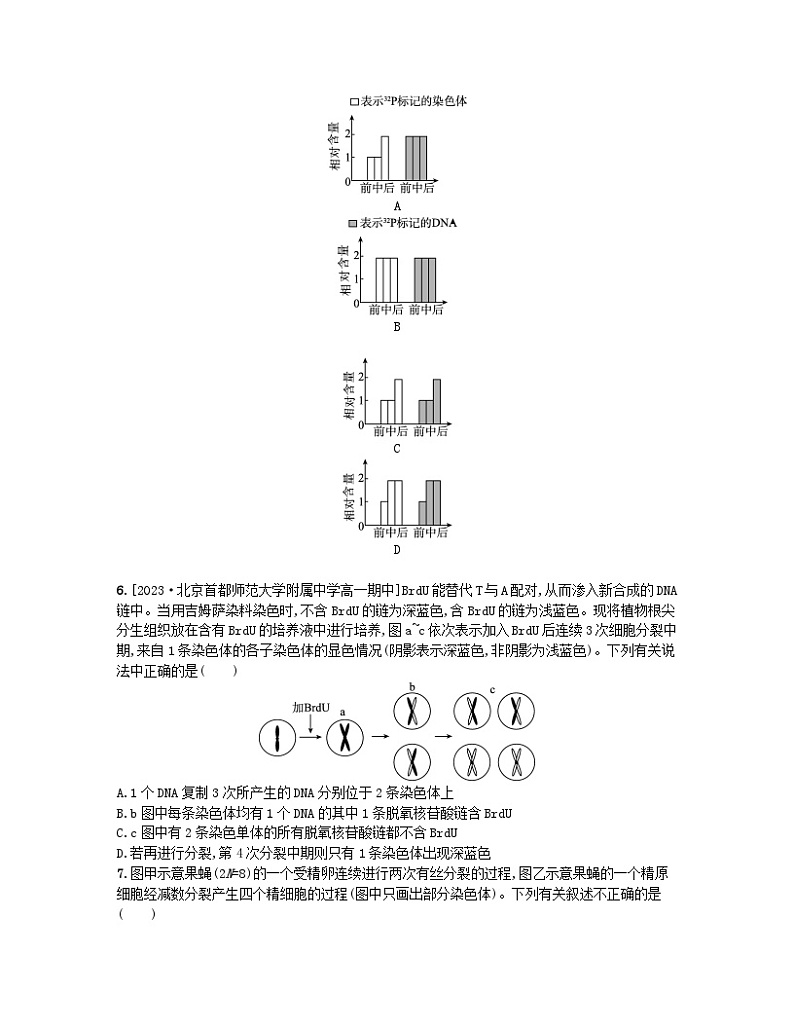 江苏专版2023_2024学年新教材高中生物第二章遗传的分子基础微专题五DNA复制与细胞分裂中的染色体标记问题分层作业苏教版必修202