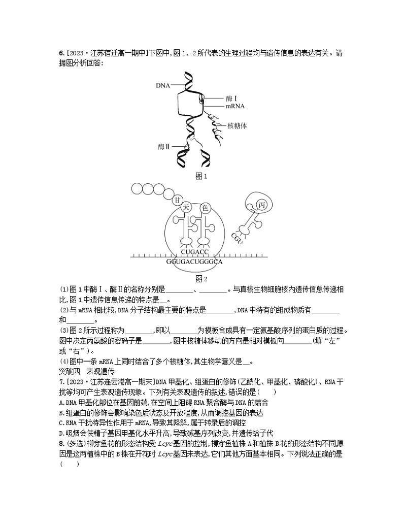 江苏专版2023_2024学年新教材高中生物第二章遗传的分子基础章末培优试题苏教版必修203