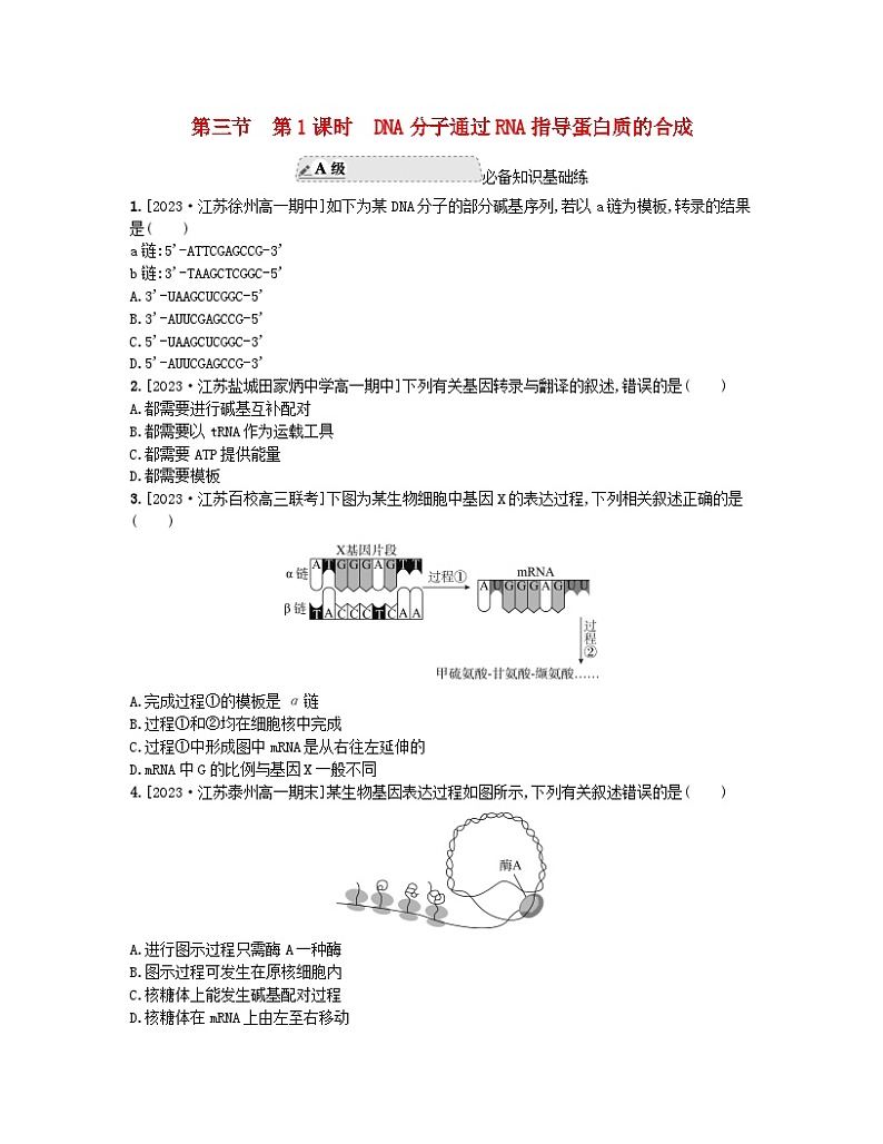 江苏专版2023_2024学年新教材高中生物第二章遗传的分子基础第三节遗传信息控制生物的性状第一课时DNA分子通过RNA指导蛋白质的合成分层作业苏教版必修201