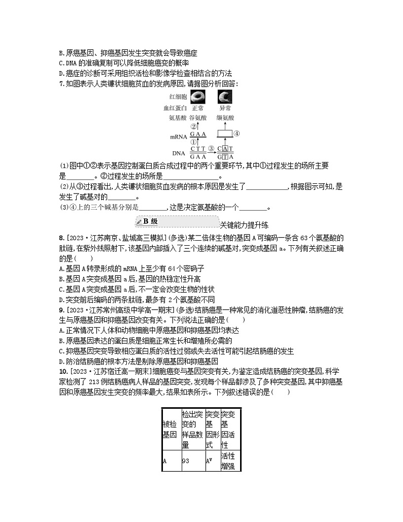 江苏专版2023_2024学年新教材高中生物第三章生物的变异第二节基因突变和基因重组分层作业苏教版必修2第2页