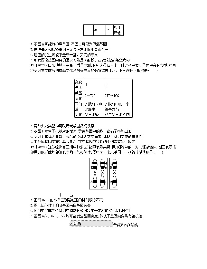 江苏专版2023_2024学年新教材高中生物第三章生物的变异第二节基因突变和基因重组分层作业苏教版必修2第3页
