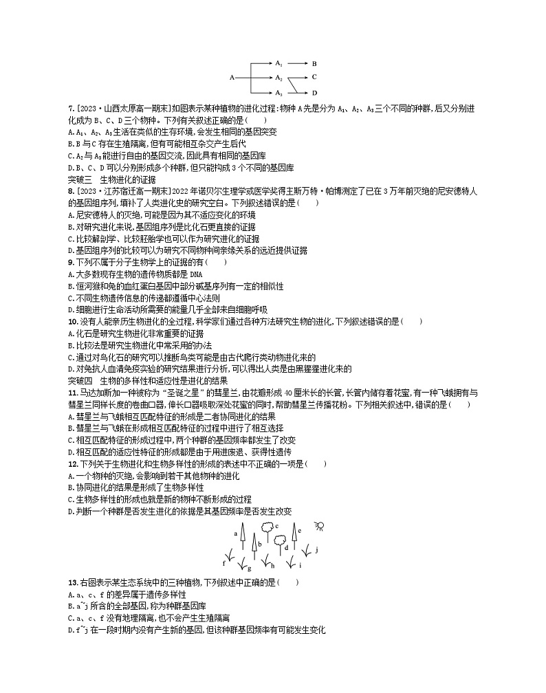 江苏专版2023_2024学年新教材高中生物第四章生物的进化章末培优试题苏教版必修202