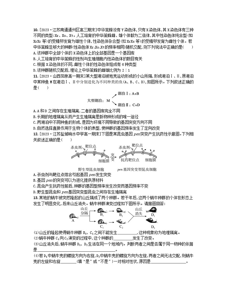 江苏专版2023_2024学年新教材高中生物第四章生物的进化第一节生物进化理论第二课时现代生物进化理论以及生物进化理论发展的意义分层作业苏教版必修203