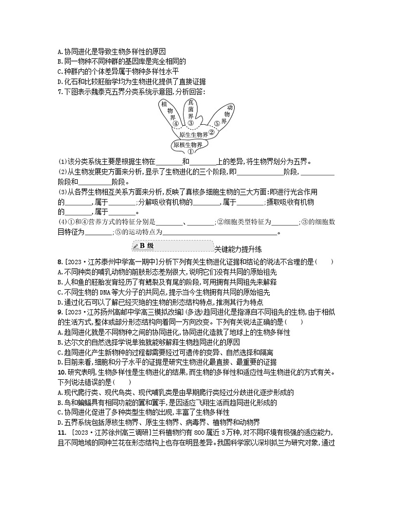 江苏专版2023_2024学年新教材高中生物第四章生物的进化第二节生物的多样性和适应性是进化的结果分层作业苏教版必修202