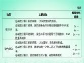 江苏专版2023_2024学年新教材高中生物第一章遗传的细胞基础微专题一减数分裂中染色体核DNA等数量的变化规律及细胞图像识别课件苏教版必修2