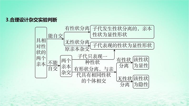 江苏专版2023_2024学年新教材高中生物第一章遗传的细胞基础微专题二分离定律的解题方法课件苏教版必修203