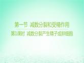 江苏专版2023_2024学年新教材高中生物第一章遗传的细胞基础第一节减数分裂和受精作用第一课时减数分裂产生精子或卵细胞课件苏教版必修2