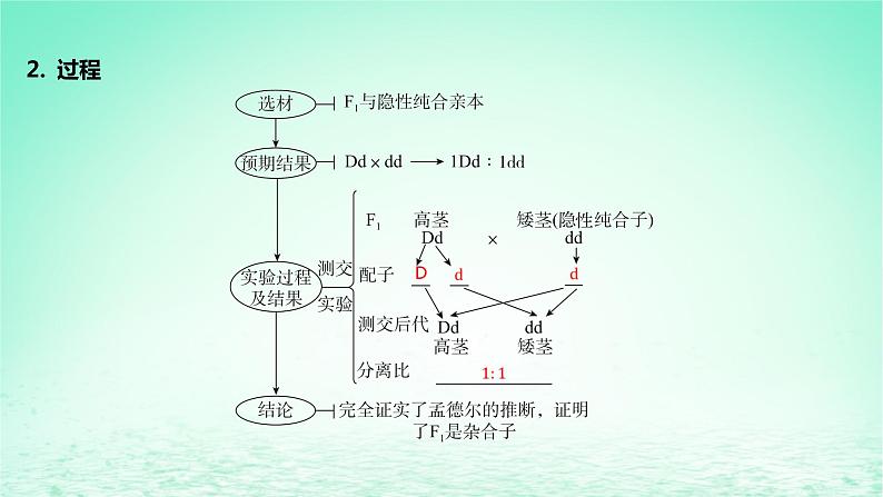 15177001第7页