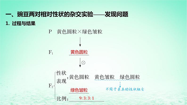 江苏专版2023_2024学年新教材高中生物第一章遗传的细胞基础第三节自由组合定律课件苏教版必修205