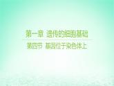 江苏专版2023_2024学年新教材高中生物第一章遗传的细胞基础第四节基因位于染色体上课件苏教版必修2
