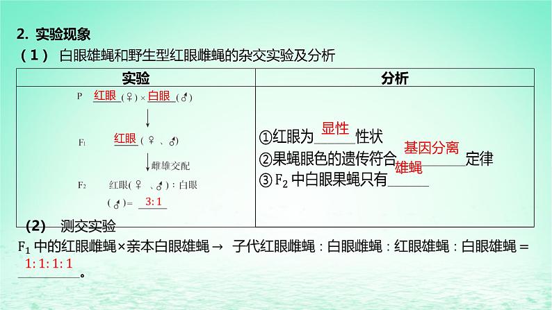 江苏专版2023_2024学年新教材高中生物第一章遗传的细胞基础第四节基因位于染色体上课件苏教版必修2第7页