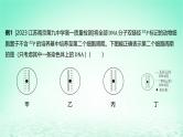 江苏专版2023_2024学年新教材高中生物第二章遗传的分子基础微专题五DNA复制与细胞分裂中的染色体标记问题课件苏教版必修2