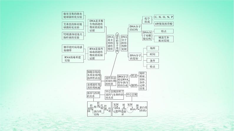 江苏专版2023_2024学年新教材高中生物第二章遗传的分子基础本章知识网络课件苏教版必修204