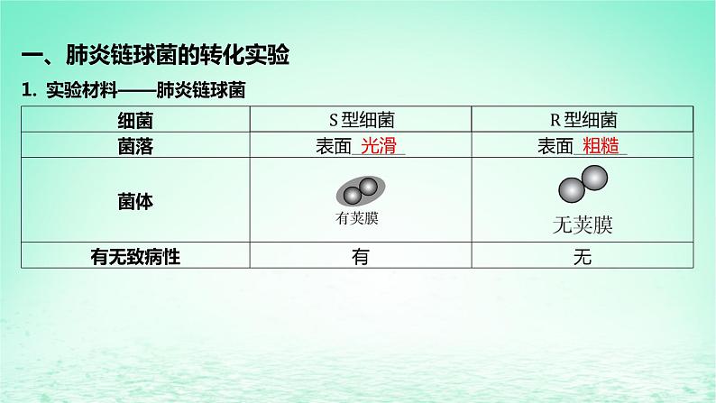 江苏专版2023_2024学年新教材高中生物第二章遗传的分子基础第一节DNA是主要的遗传物质课件苏教版必修205