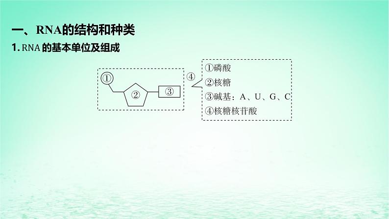 江苏专版2023_2024学年新教材高中生物第二章遗传的分子基础第三节遗传信息控制生物的性状第一课时DNA分子通过RNA指导蛋白质的合成课件苏教版必修205