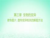 江苏专版2023_2024学年新教材高中生物第三章生物的变异微专题六遗传变异相关的解题方法课件苏教版必修2