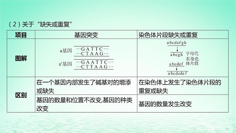 江苏专版2023_2024学年新教材高中生物第三章生物的变异微专题六遗传变异相关的解题方法课件苏教版必修2第4页