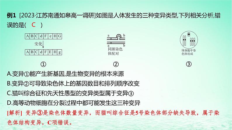 江苏专版2023_2024学年新教材高中生物第三章生物的变异微专题六遗传变异相关的解题方法课件苏教版必修2第7页