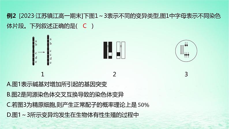 江苏专版2023_2024学年新教材高中生物第三章生物的变异微专题六遗传变异相关的解题方法课件苏教版必修2第8页