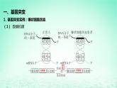 江苏专版2023_2024学年新教材高中生物第三章生物的变异第二节基因突变和基因重组课件苏教版必修2