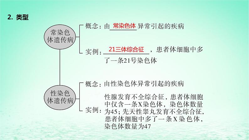 江苏专版2023_2024学年新教材高中生物第三章生物的变异第三节关注人类遗传病课件苏教版必修208