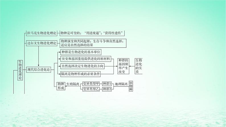 江苏专版2023_2024学年新教材高中生物第四章生物的进化本章知识网络课件苏教版必修204