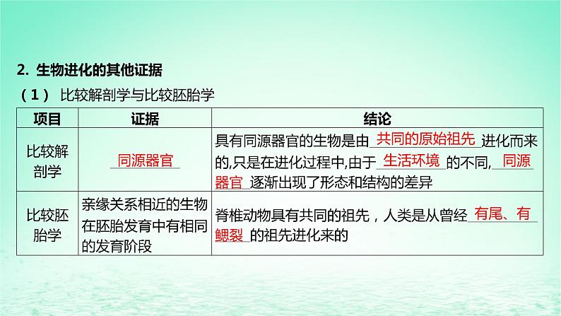 江苏专版2023_2024学年新教材高中生物第四章生物的进化第二节生物的多样性和适应性是进化的结果课件苏教版必修206