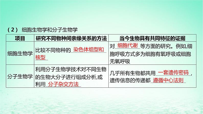 江苏专版2023_2024学年新教材高中生物第四章生物的进化第二节生物的多样性和适应性是进化的结果课件苏教版必修207