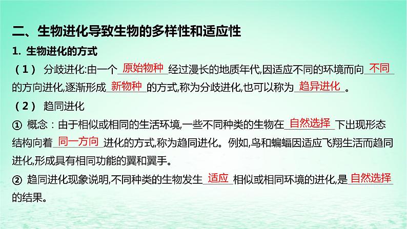 江苏专版2023_2024学年新教材高中生物第四章生物的进化第二节生物的多样性和适应性是进化的结果课件苏教版必修208