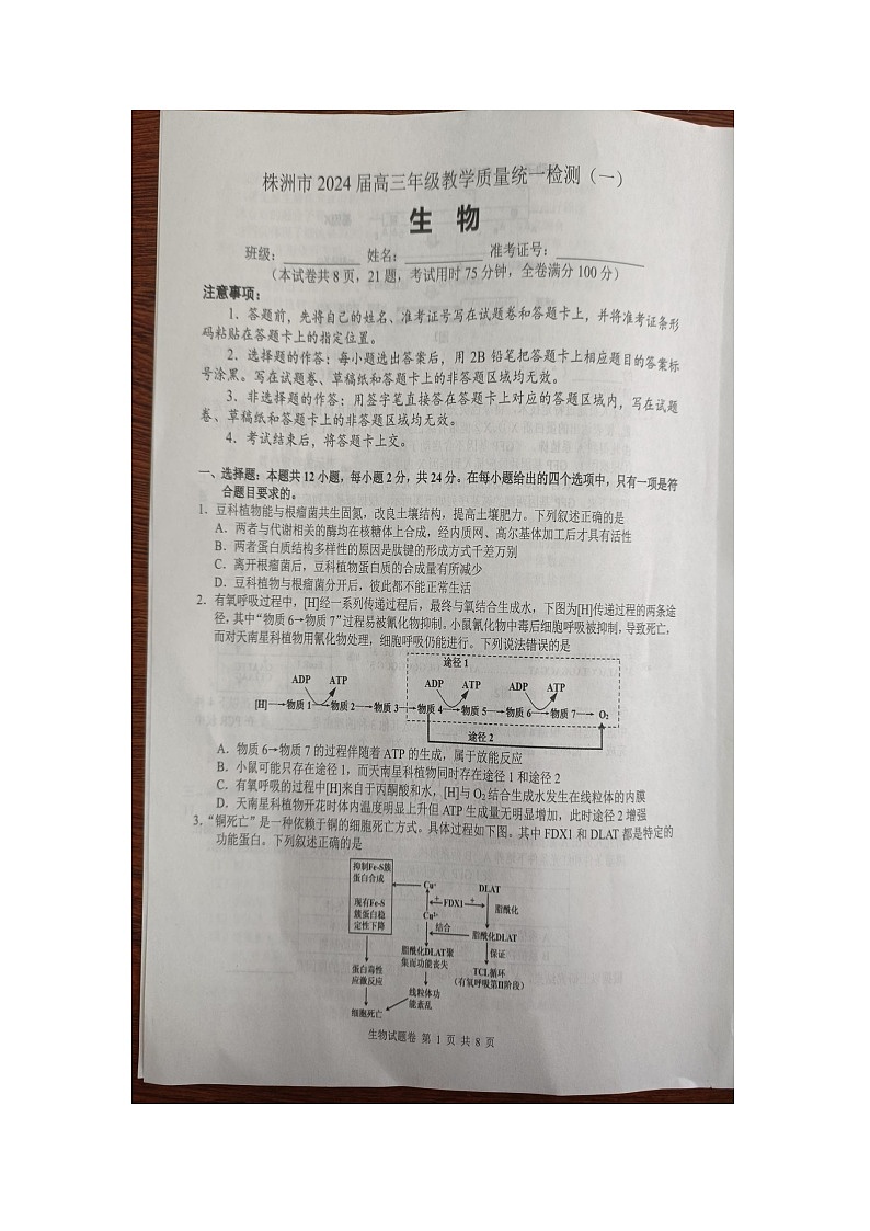 2024届湖南省株洲市高三教学质量统一检测（一）生物试题第1页