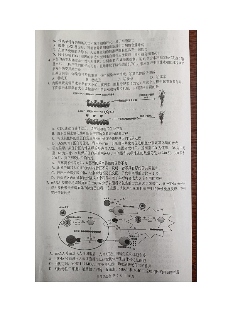 2024届湖南省株洲市高三教学质量统一检测（一）生物试题第2页