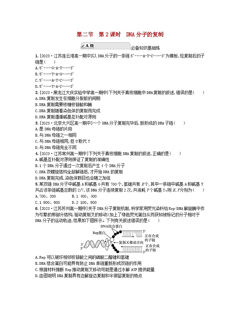 江苏专版2023_2024学年新教材高中生物第二章遗传的分子基础第二节DNA分子的结构和复制第二课时DNA分子的复制分层作业苏教版必修201