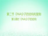 江苏专版2023_2024学年新教材高中生物第二章遗传的分子基础第二节DNA分子的结构和复制第一课时DNA分子的结构课件苏教版必修2