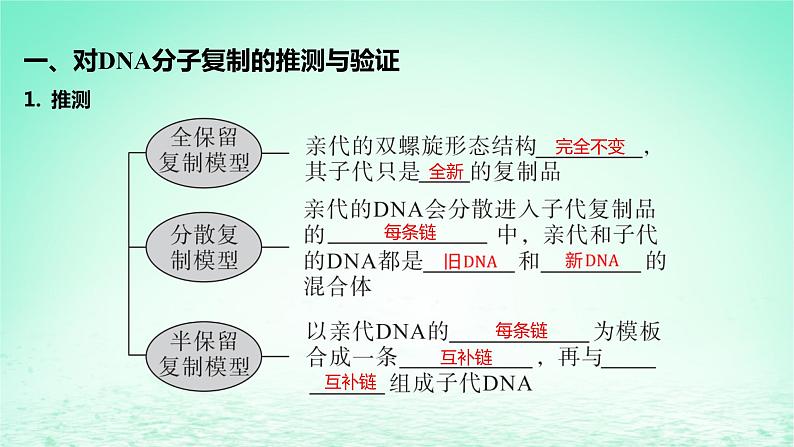 江苏专版2023_2024学年新教材高中生物第二章遗传的分子基础第二节DNA分子的结构和复制第二课时DNA分子的复制课件苏教版必修2第5页