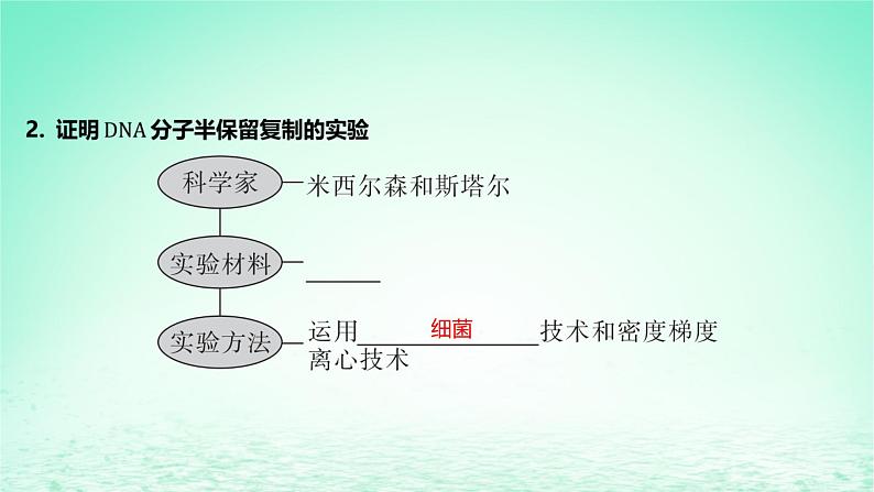 江苏专版2023_2024学年新教材高中生物第二章遗传的分子基础第二节DNA分子的结构和复制第二课时DNA分子的复制课件苏教版必修2第6页