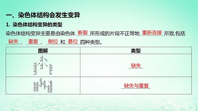 江苏专版2023_2024学年新教材高中生物第三章生物的变异第一节染色体变异及其应用第一课时染色体结构和数量的变异课件苏教版必修2第5页