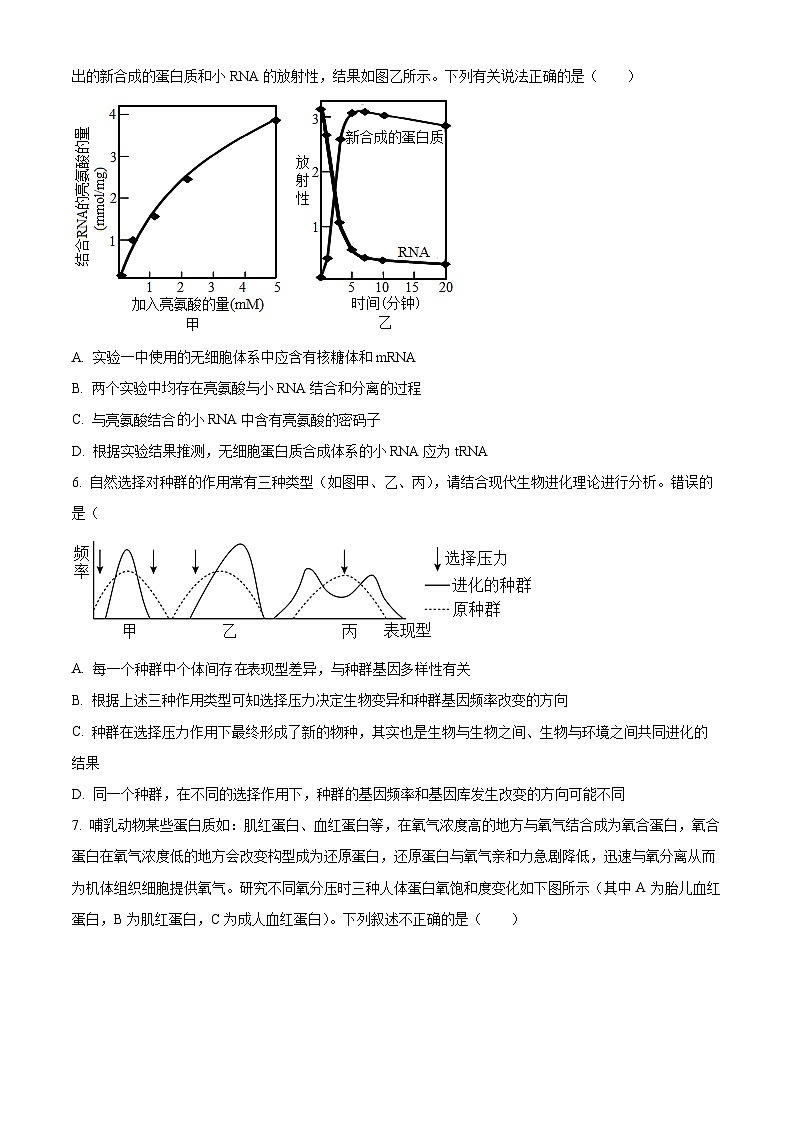 黑龙江省大庆实验中学实验三部2023-2024学年高三上学期阶段考试（二）生物试题02