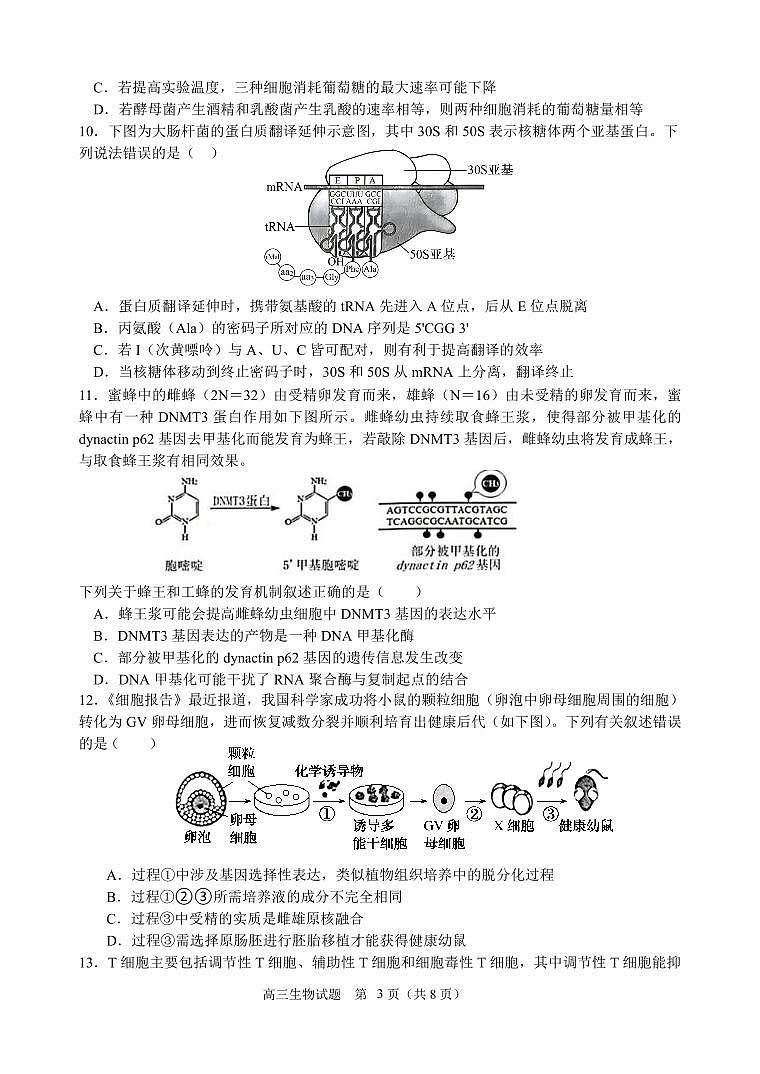 2024浙江省义乌中学高三上学期首考适应性考试生物PDF版含答案03